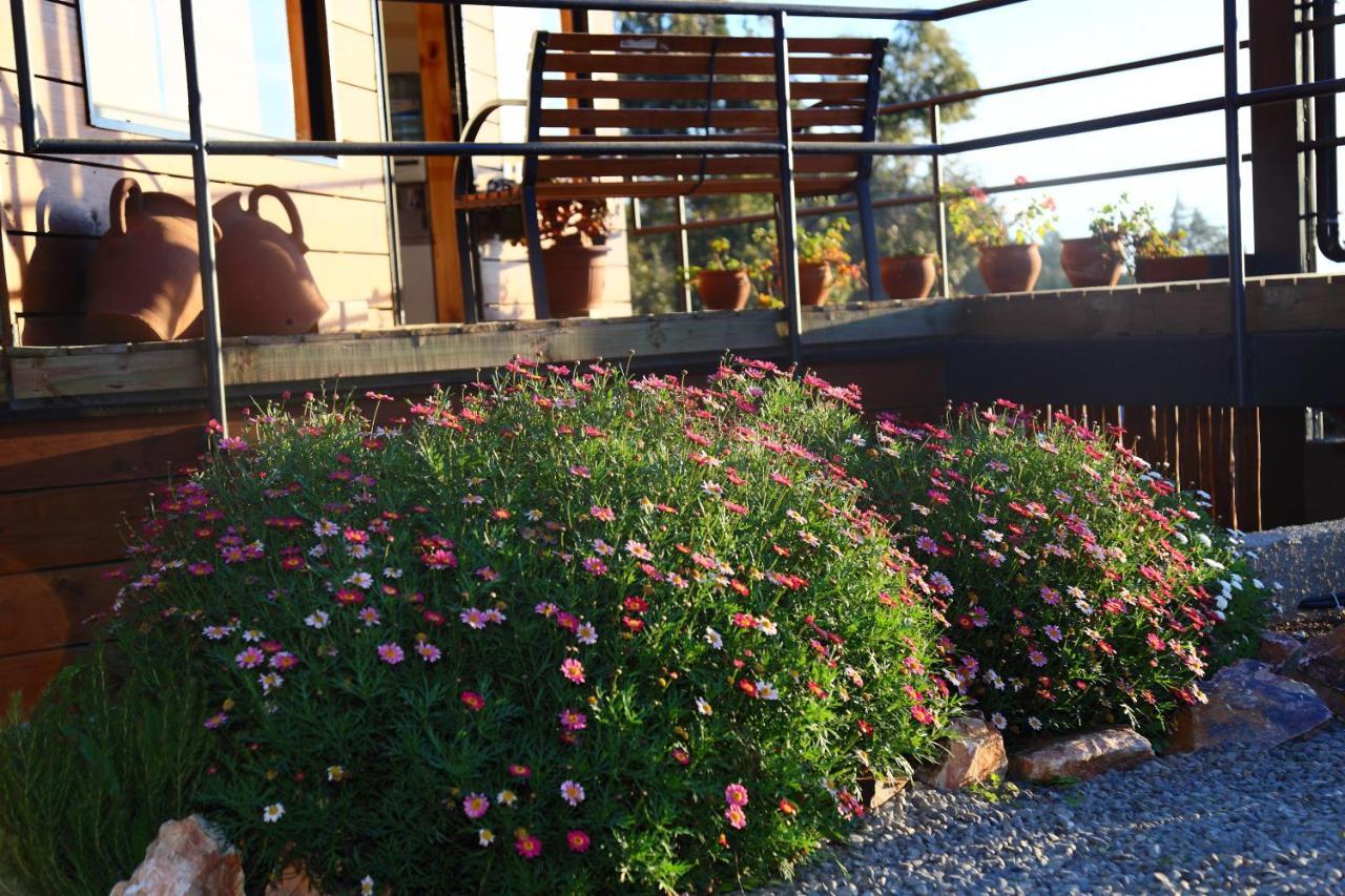 Cabañas y Spa Costa Patagonia - Piscina Climatizada Pichilemu Exterior foto