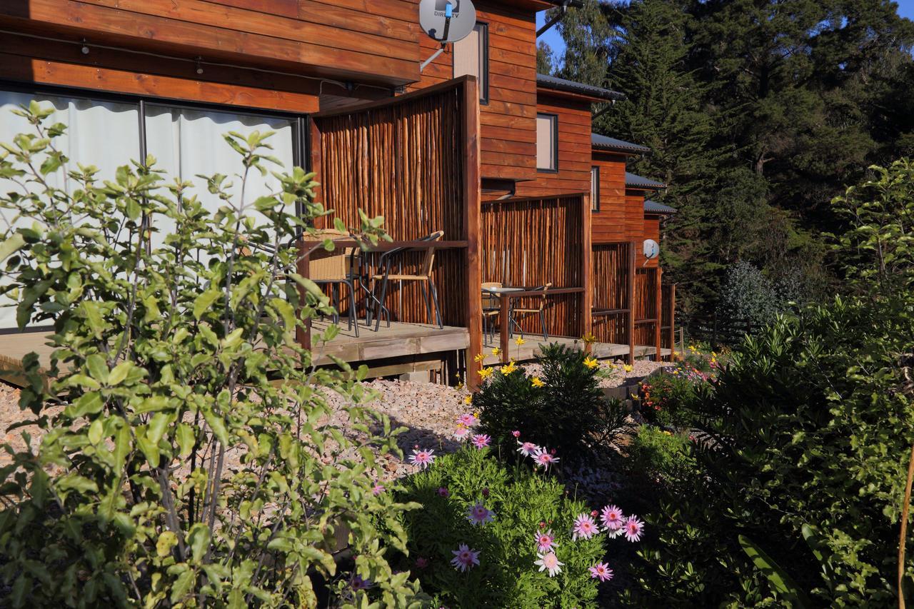 Cabañas y Spa Costa Patagonia - Piscina Climatizada Pichilemu Exterior foto